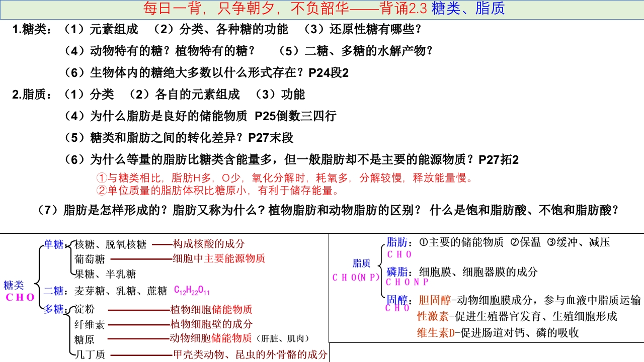 精讲03糖类、脂质和种子成熟与萌发过程中的物质变化-一轮通关备战2024年高考生物一轮复习全方位精讲课件（新教材新高考）