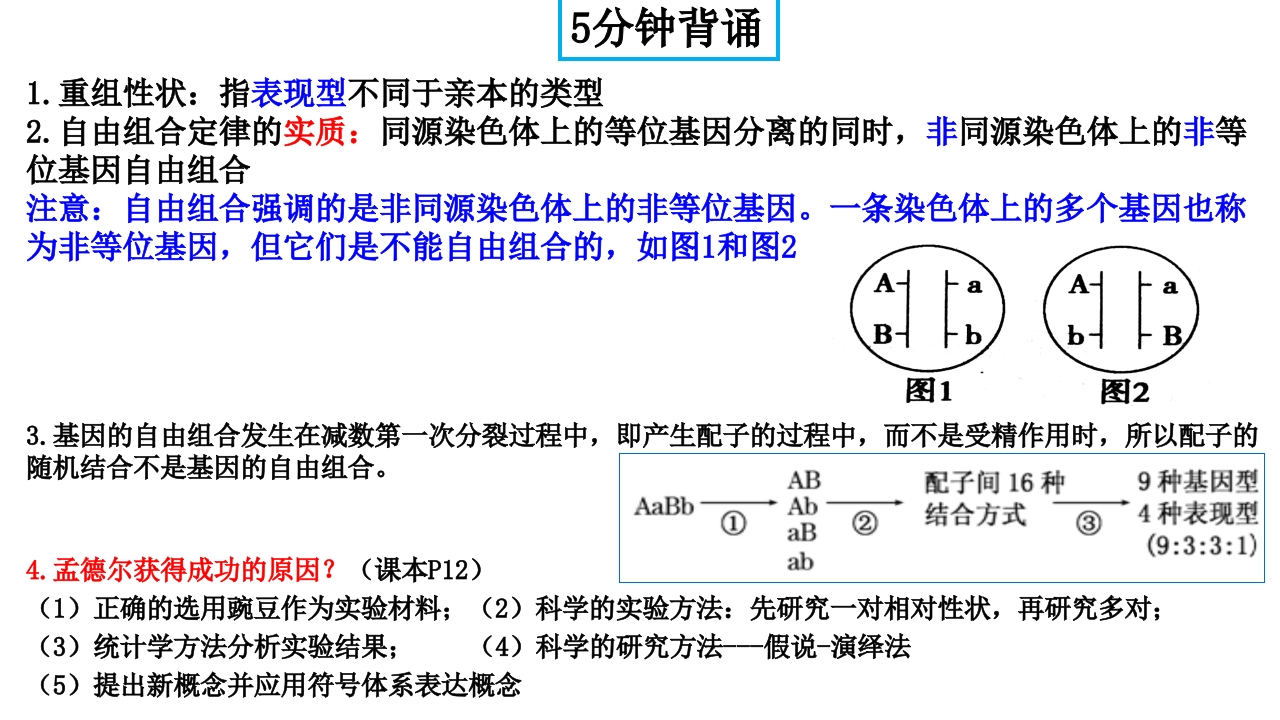 精讲15基因的自由组合定律-一轮通关备战2024年高考生物一轮复习全方位精讲课件（新教材新高考）